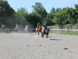 img_3260_web